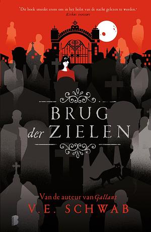 Brug der zielen by V.E. Schwab