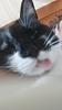 pedro_mdp's profile picture