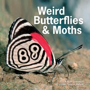 Weird Butterflies and Moths by Ronald Orenstein