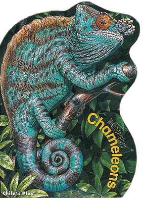 Chameleons by Sue Baker