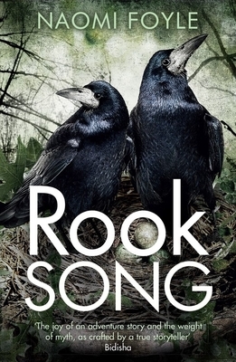 Rook Song: The Gaia Chronicles Book 2 by Naomi Foyle