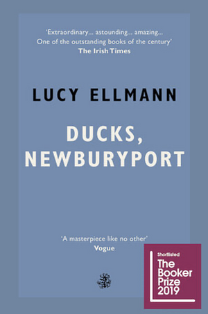 Ducks, Newburyport by Lucy Ellmann