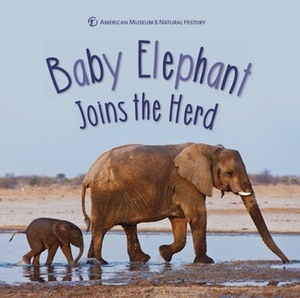 Baby Elephant Joins the Herd by American Museum of Natural History