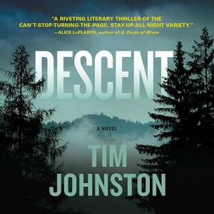Descent by Tim Johnston