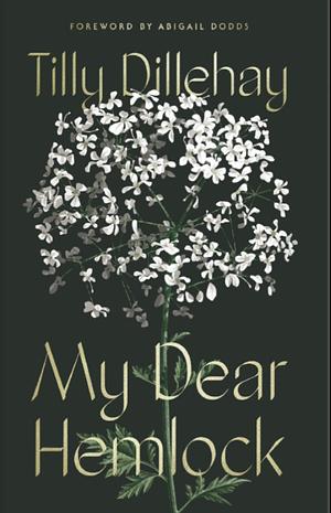 My Dear Hemlock by Tilly Dillehay