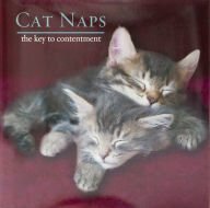 Cat naps : the key to contentment by Robin Haywood