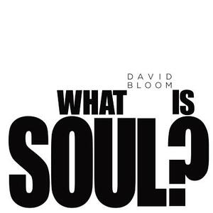 What Is Soul? by David Bloom