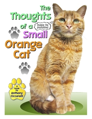 The Thoughts of a Small Orange Cat by Anthony Ciccarelli