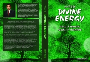 What Is Divine Energy: The Power of Managing the Science of Everything by Vipin Gupta