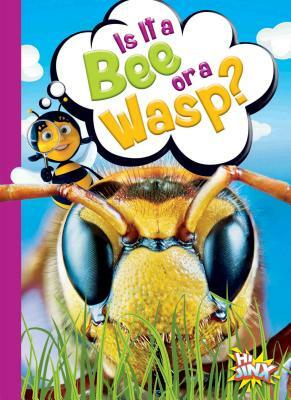Is It a Bee or a Wasp? by Gail Terp