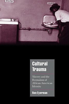 Cultural Trauma: Slavery and the Formation of African American Identity by Ron Eyerman