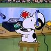 ccygnette's profile picture
