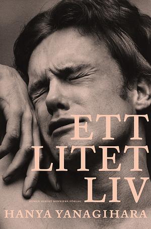 Ett litet liv by Hanya Yanagihara