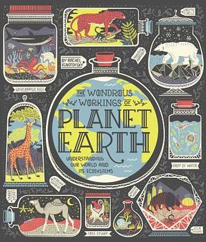 Unser Verblüffender Planet Erde - So verstehst du unsere Welt by Rachel Ignotofsky