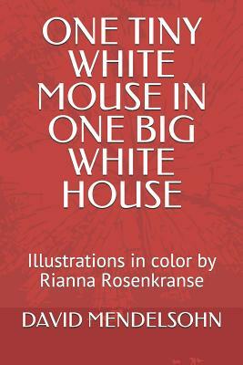 One Tiny White Mouse in One Big White House: Colored Illustrations by Rianna Rosenkranse by David Mendelsohn