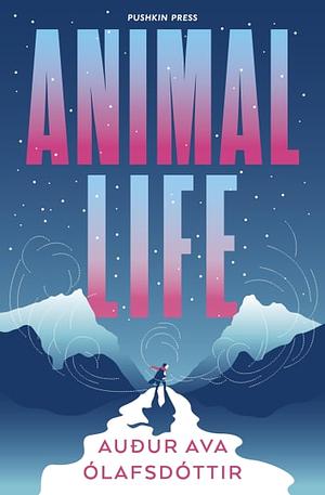 Animal Life: the dazzling, funny and beguiling novel about an Icelandic midwife working over Christmas, perfect for fans of Miriam Toews and Tove Jansson by Auður Ava Ólafsdóttir