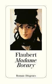 Madame Bovary: Sitten der Provinz  by Gustave Flaubert