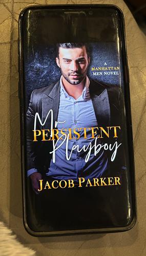 Mr. Persistent Playboy  by Jacob Parker