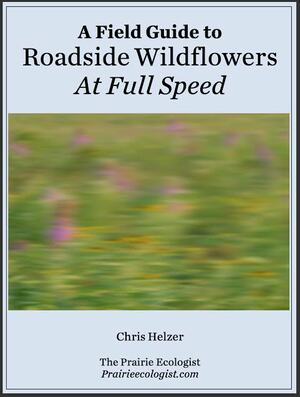A Field Guide to Roadside Wildflowers At Full Speed by Chris Helzer