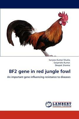 Bf2 Gene in Red Jungle Fowl by Satyendra Kumar, Deepak Sharma, Sanjeev Kumar Shukla