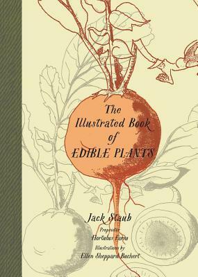 The Illustrated Book of Edible Plants by Ellen Sheppard Buchert, Jack Staub