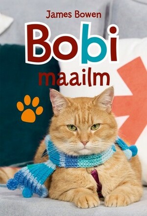 Bobi maailm by James Bowen