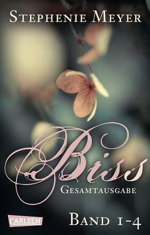 Bella und Edward: Biss Gesamtausgabe, Band 1-4 by Stephenie Meyer