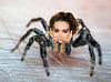 k_wright's profile picture