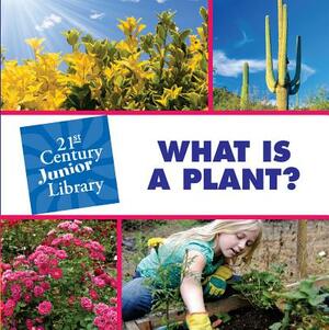 What Is a Plant? by Pam Rosenberg