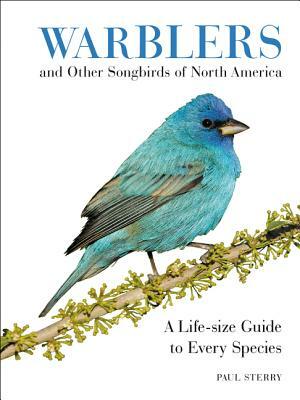 Warblers and Other Songbirds of North America: A Life-Size Guide to Every Species by Paul Sterry