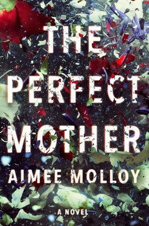 The Perfect Mother by 