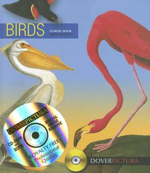 Birds [With CDROM] by Alan Weller