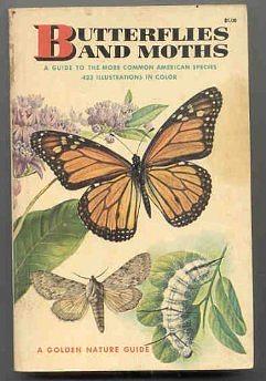 Butterflies and moths: A guide to the more common American species by Robert T. Mitchell