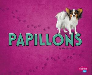 Papillons by Allan Morey