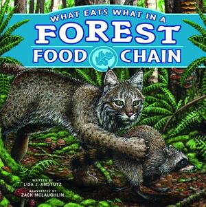 What Eats What in a Forest Food Chain by Lisa J. Amstutz