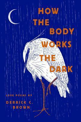 How the Body Works the Dark by Derrick C Brown