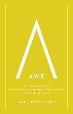 Awe: Why It Matters for Everything We Think, Say, and Do by Paul David Tripp