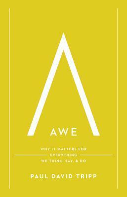 Awe: Why It Matters for Everything We Think, Say, and Do by Paul David Tripp