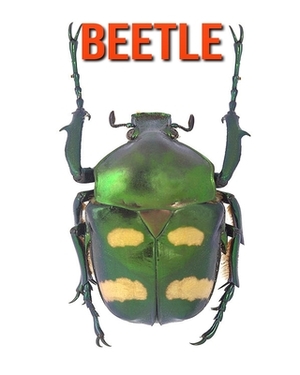 Beetle: Learn About Beetle and Enjoy Colorful Pictures by Diane Jackson