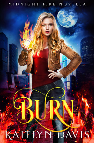 Burn by Kaitlyn Davis