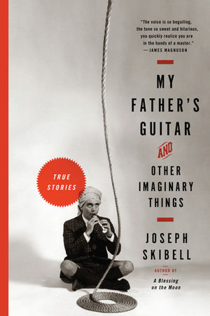 My Father's Guitar and Other Imaginary Things by Joseph Skibell