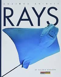 Rays by Valerie Bodden