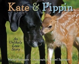 Kate & Pippin: An Unlikely Love Story by Martin Springett, Isobel Springett