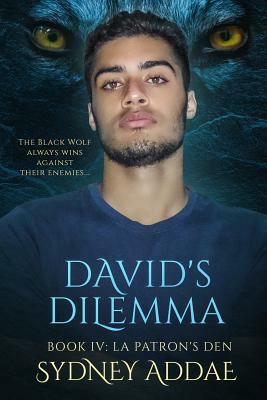 David's Dilemma by Sydney Addae
