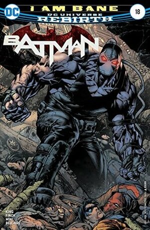 Batman #18 by Tom King, Jordie Bellaire, Danny Miki, David Finch