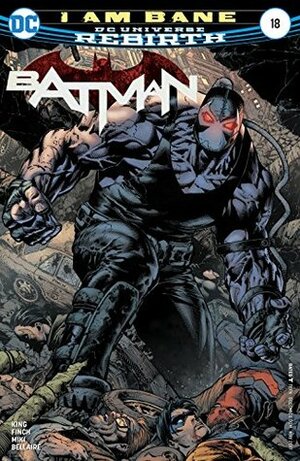 Batman #18 by Jordie Bellaire, Tom King, Danny Miki, David Finch