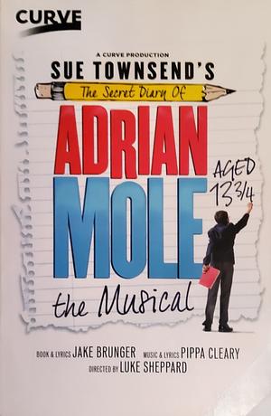 The Secret Diary of Adrian Mole, Aged 13 3/4 by Sue Townsend