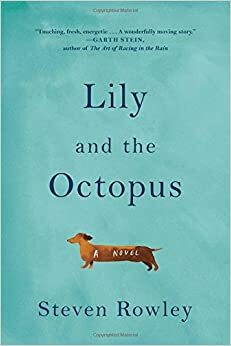 Lily ja kaheksajalg by Steven Rowley