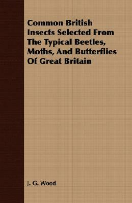 Common British Insects Selected from the Typical Beetles, Moths, and Butterflies of Great Britain by J. G. Wood