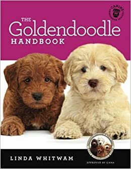 The Goldendoodle Handbook: The Essential Guide For New & Prospective Goldendoodle Owners by Linda Whitwam
